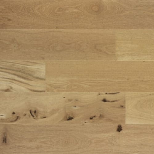Classics Amazon Oak Almond 5.25" by Triangulo Hardwood Floors